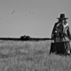 Illustration for article titled A Field In England has a field in England—and not much else going for it